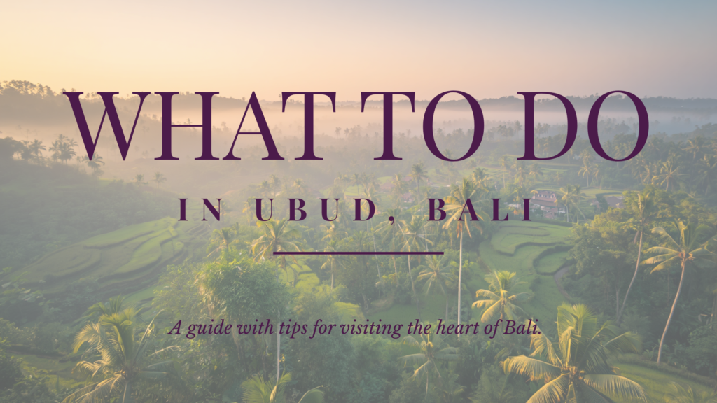 Things to Do in Ubud Bali